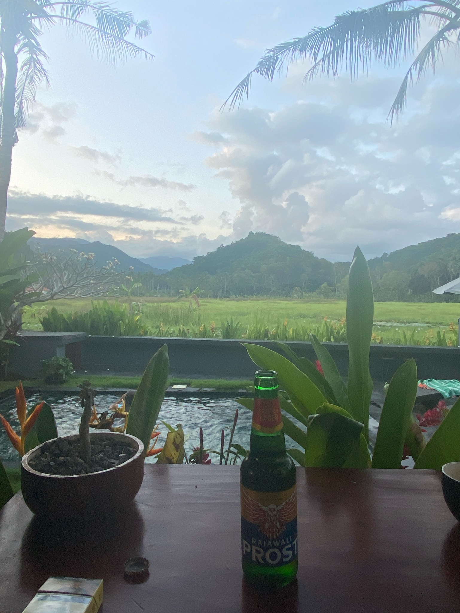 Prost Beer, Prost Beer