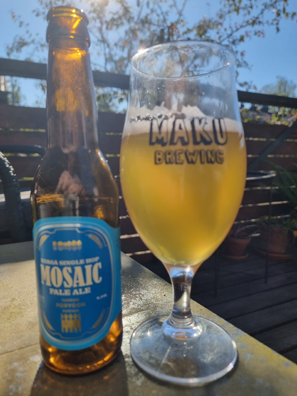 Borgå Single Hop Mosaic Pale Ale, Finland
