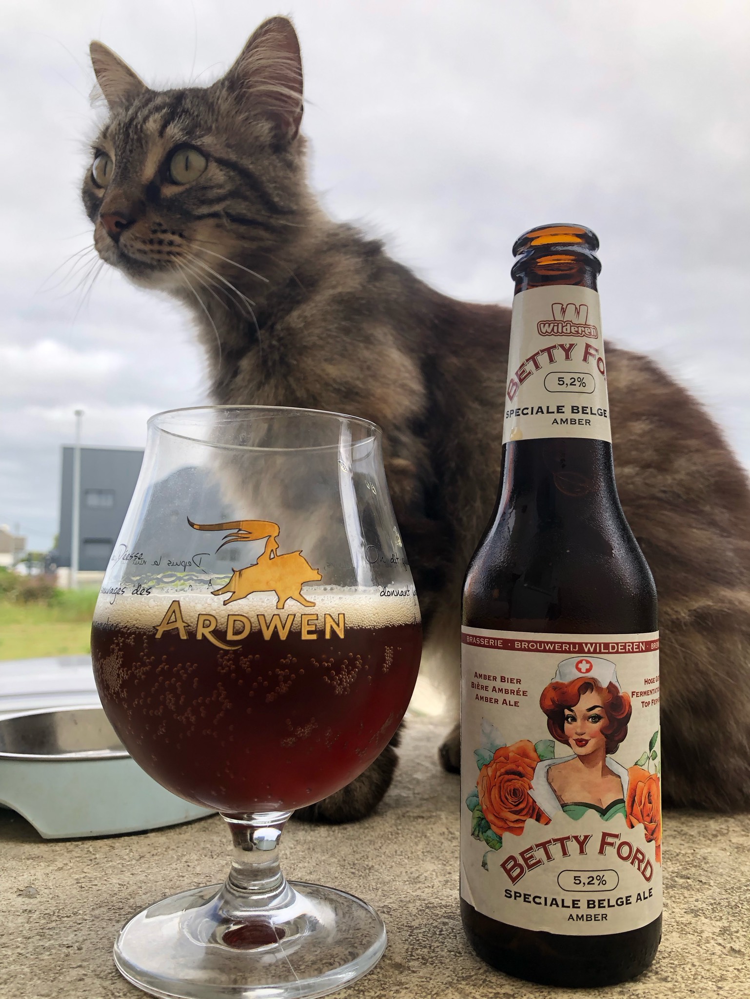 Betty Ford, Brouwerij Wilderen