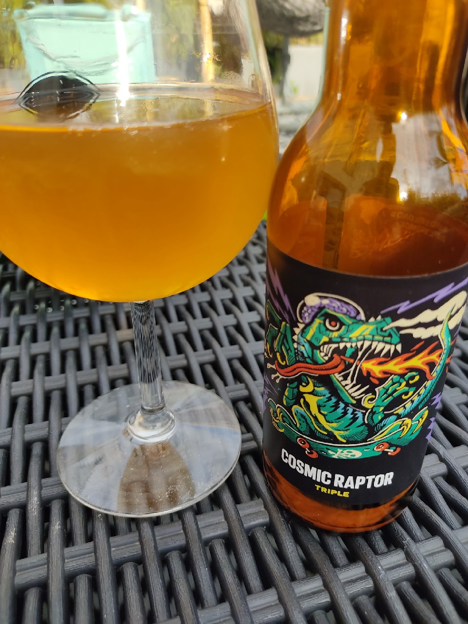 Cosmic Raptor, France