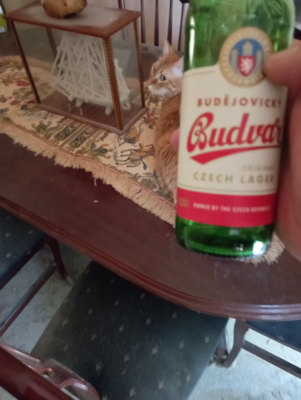 Budweiser Budvar B:original Výroční Nefiltrovaný, Budějovický Budvar
