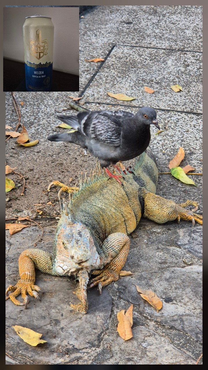 Königsbacher Weizen Bier, Germany
