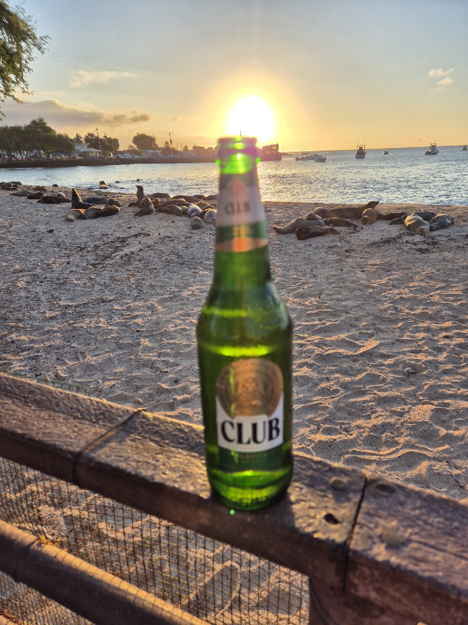 Club Premium Lager, Accra Brewery (SABMiller)
