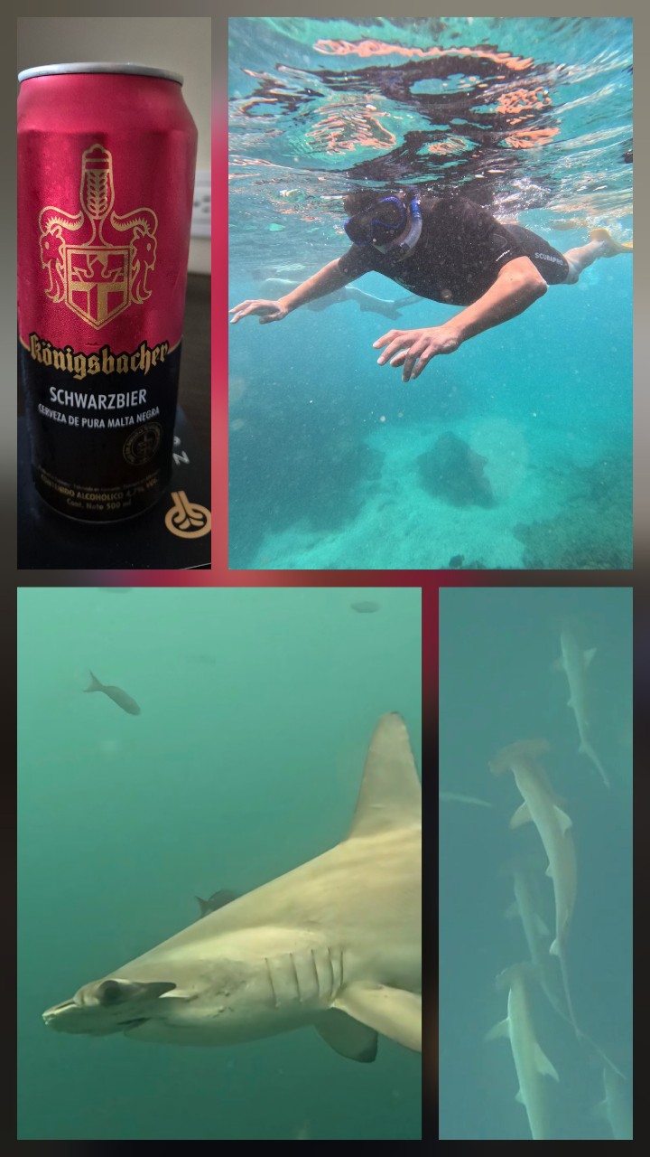 Königsbacher Schwarzbier, Germany