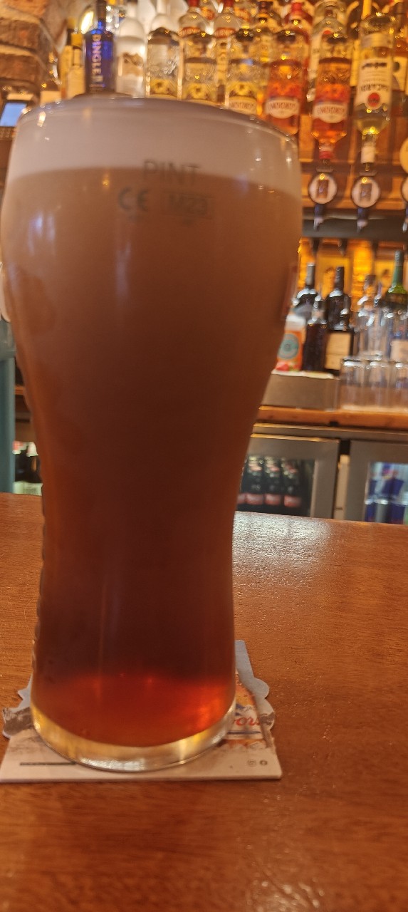 Gogartys Irish ale, Ireland