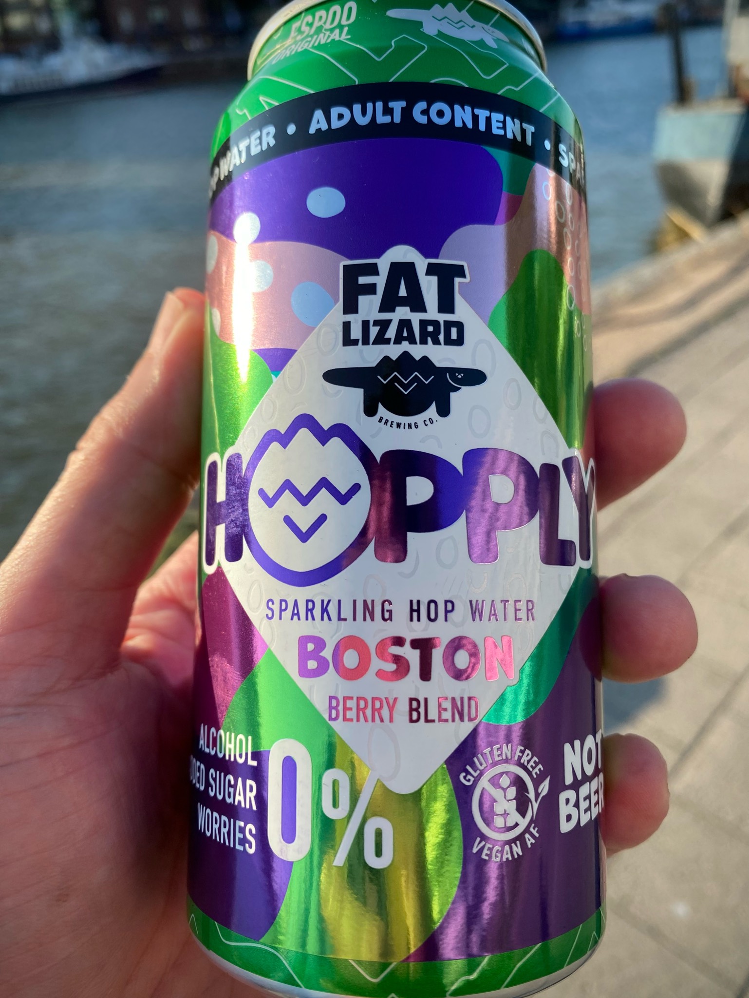 Hopply Boston Berry Blend, Fat Lizard Brewing Co.