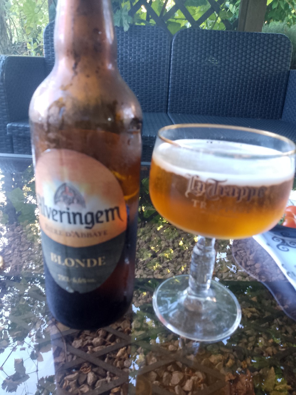 Alveringem Blonde, France
