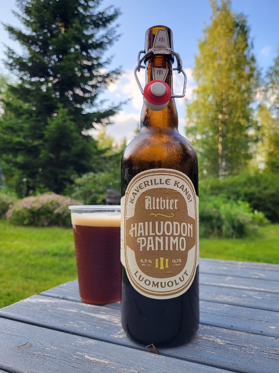 Altbier, Hailuodon Panimo