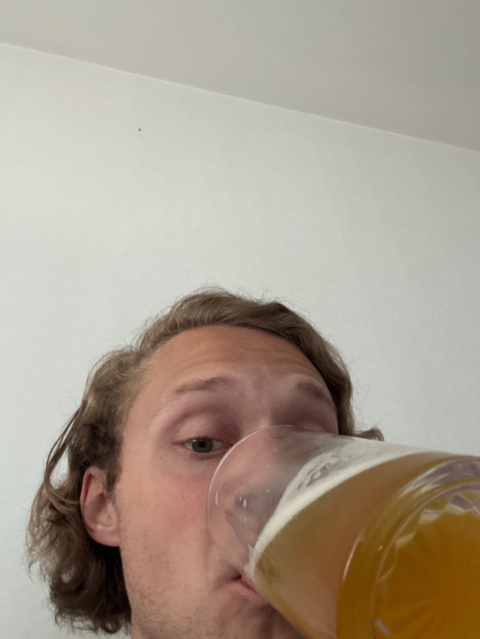 House Lager, Finland