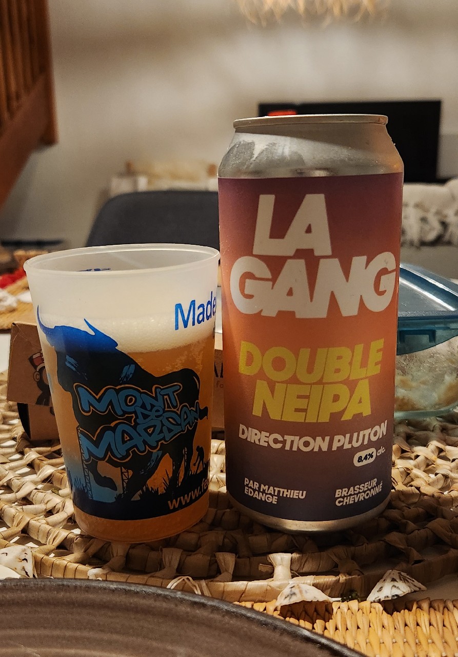 Direction Pluton, La Gang