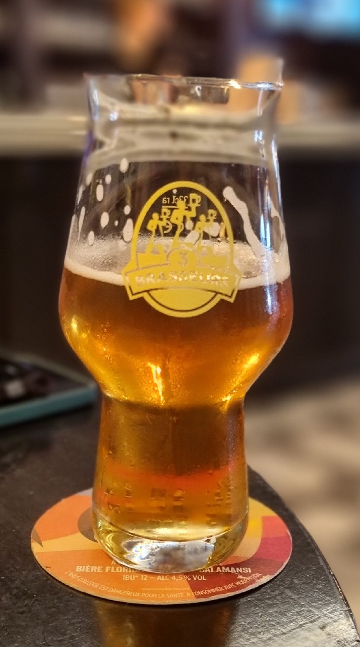 3 Brasseurs Session IPA, France