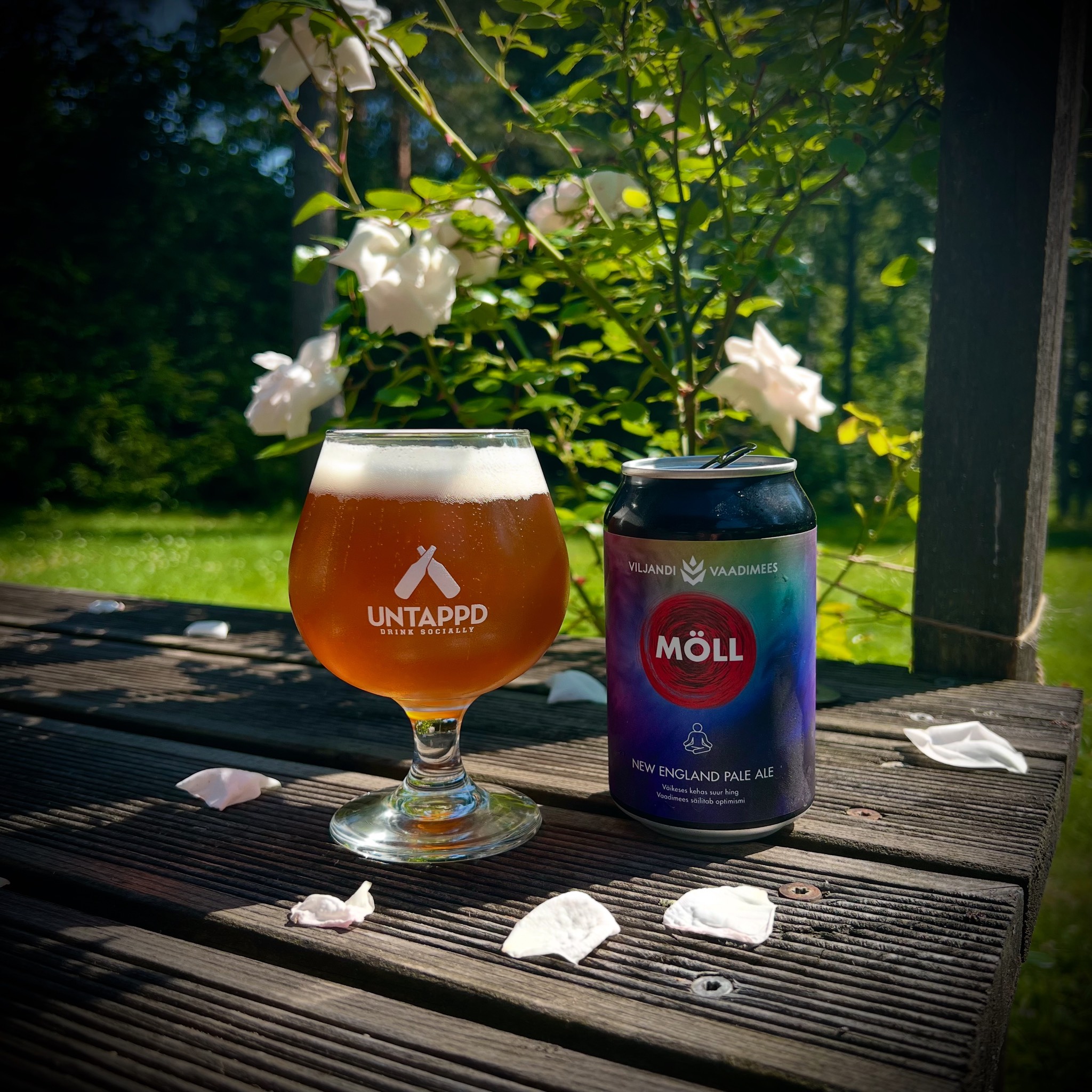 Möll, Viljandi Vaadimees