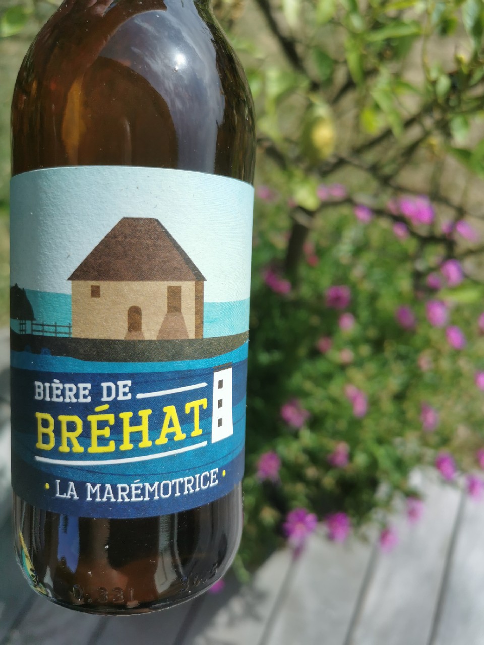 La Marémotrice, France