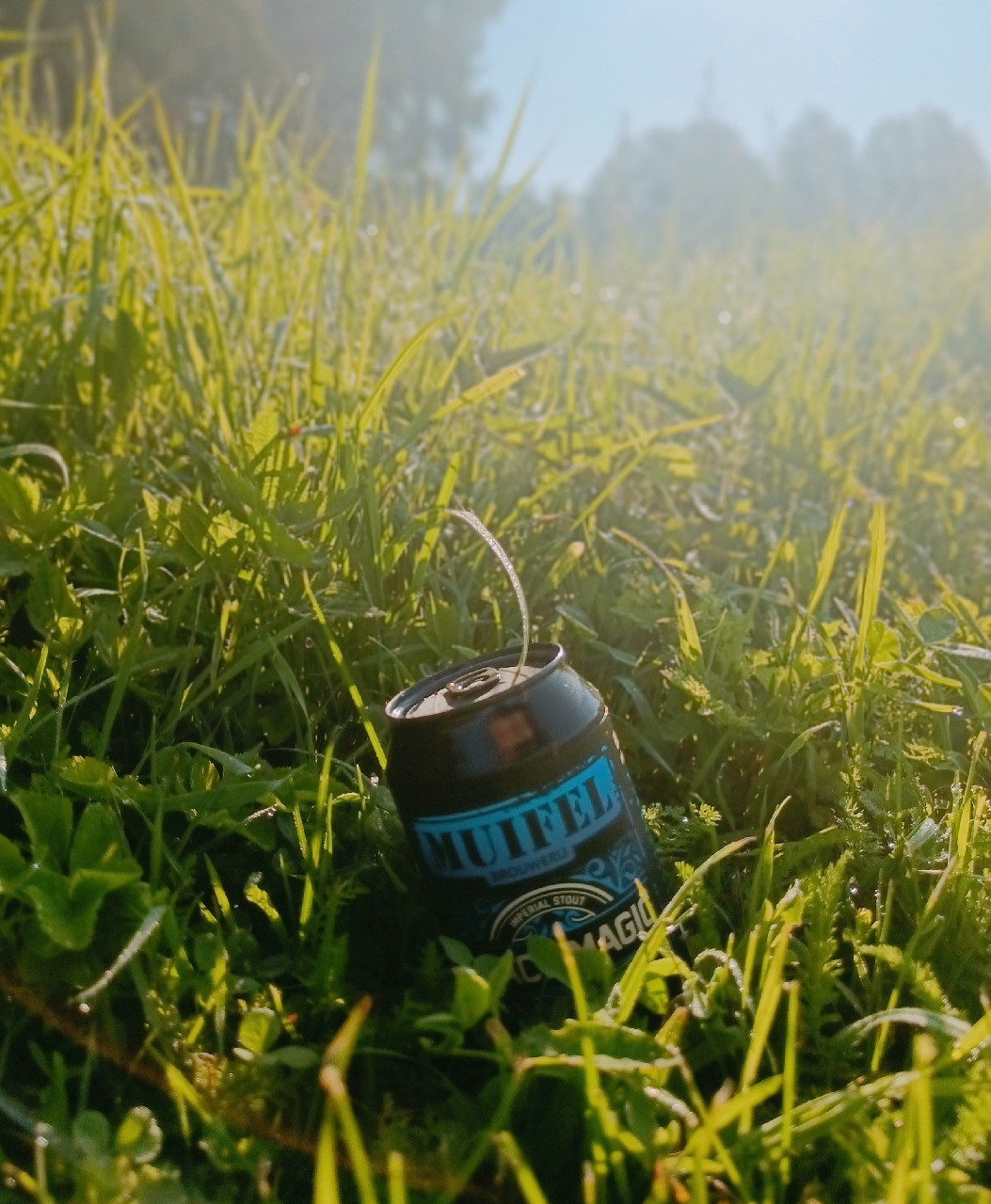 Black Magic, Netherlands