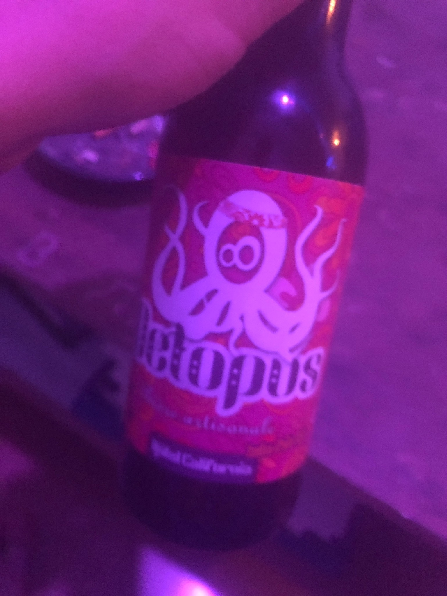 Octolove, Brasserie Orita - Octopus