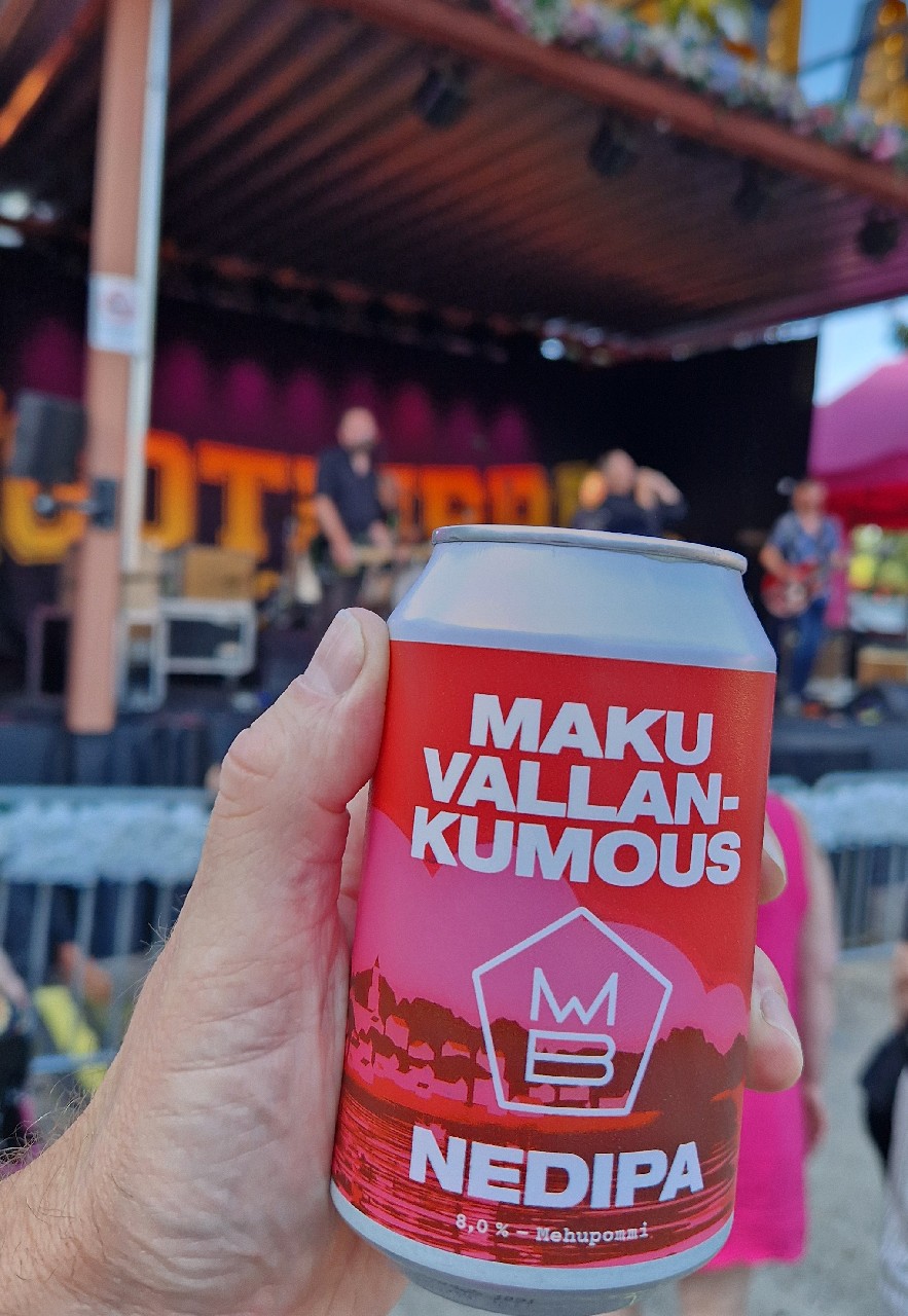 Vallankumous, Finland