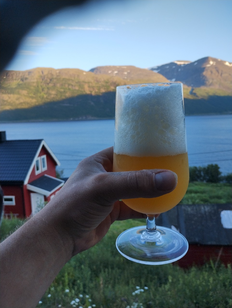 Sunny City, Good Guys Brew