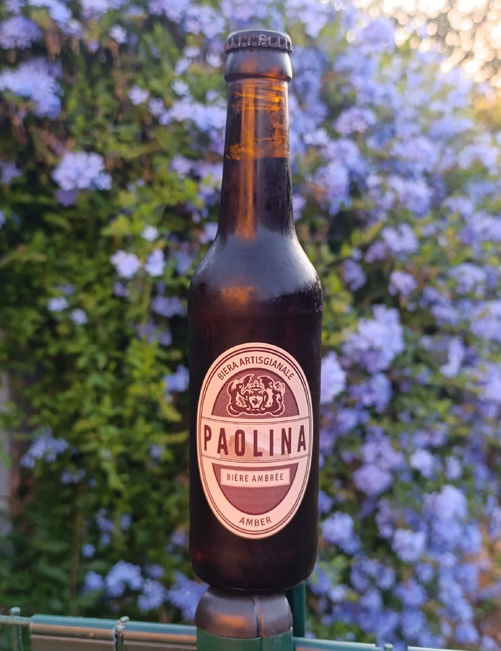 Paolina Ambrée, Brasserie Paolina