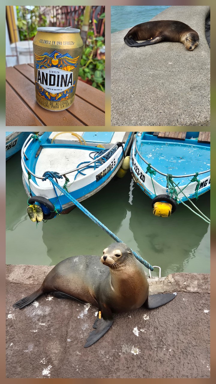 Andina, Central Cervecera De Colombia