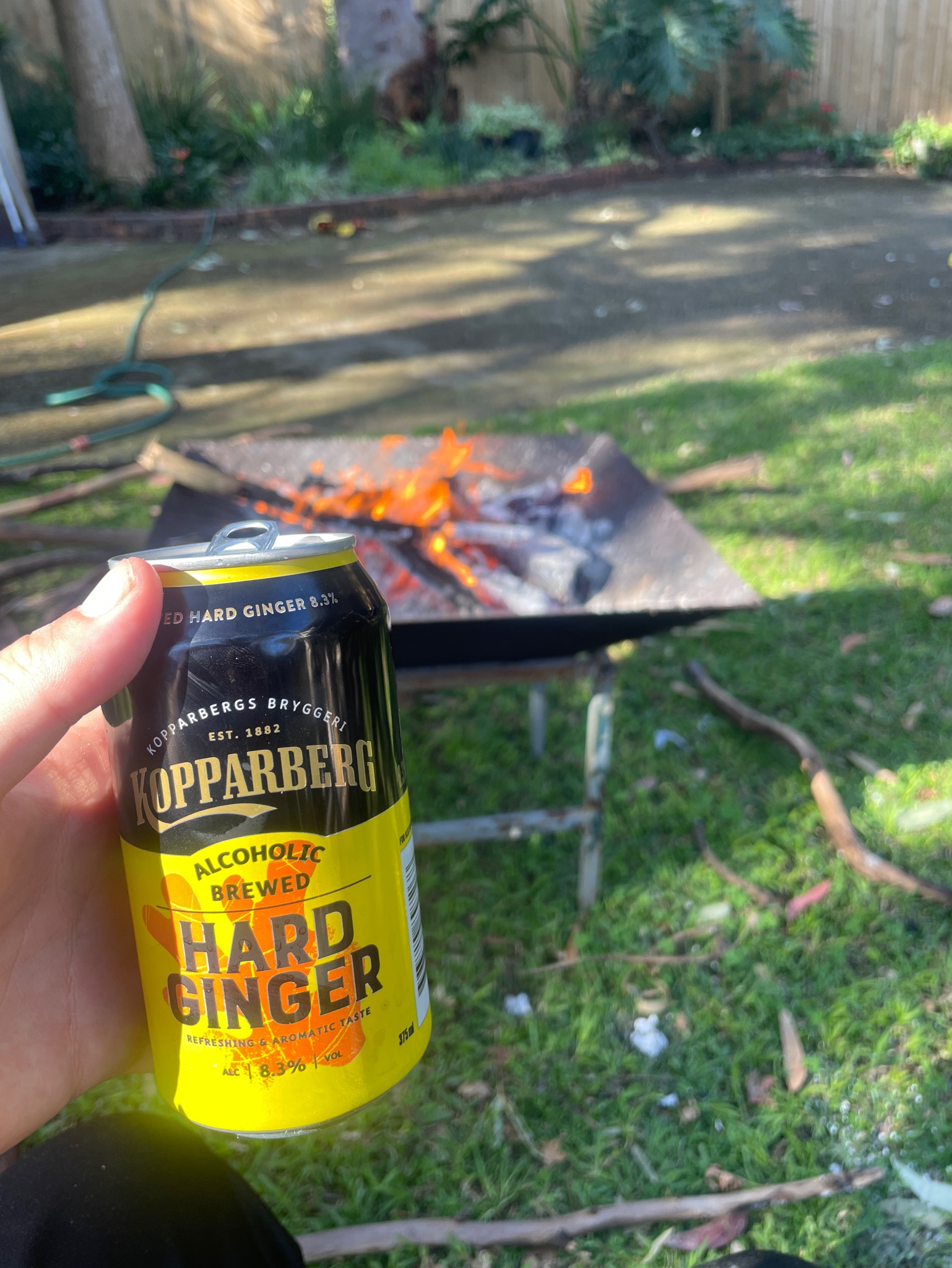 Koppaberg Hard Ginger, Sweden