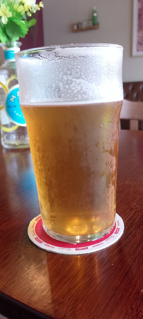 Silver Adder, England