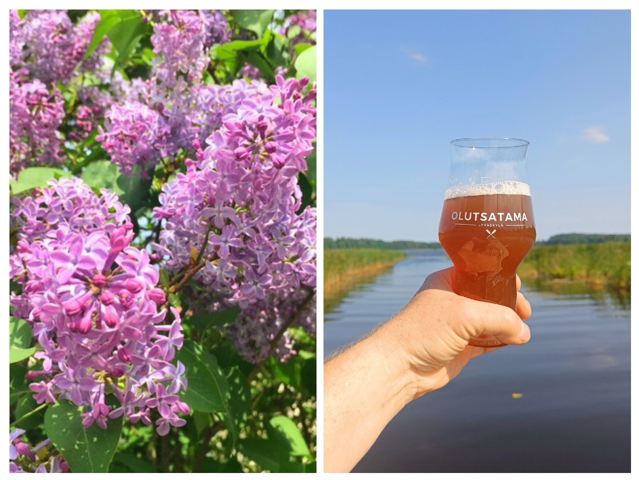 Small Beer: Lilac, Teva Brew