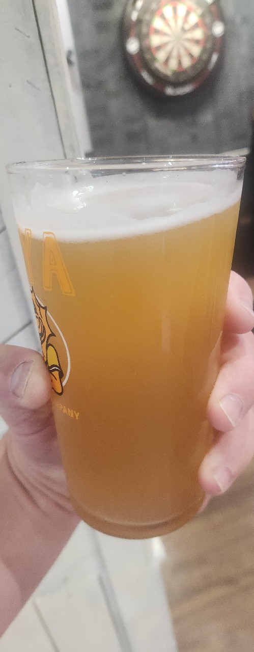 Fluffity, Green Duck Beer Co.