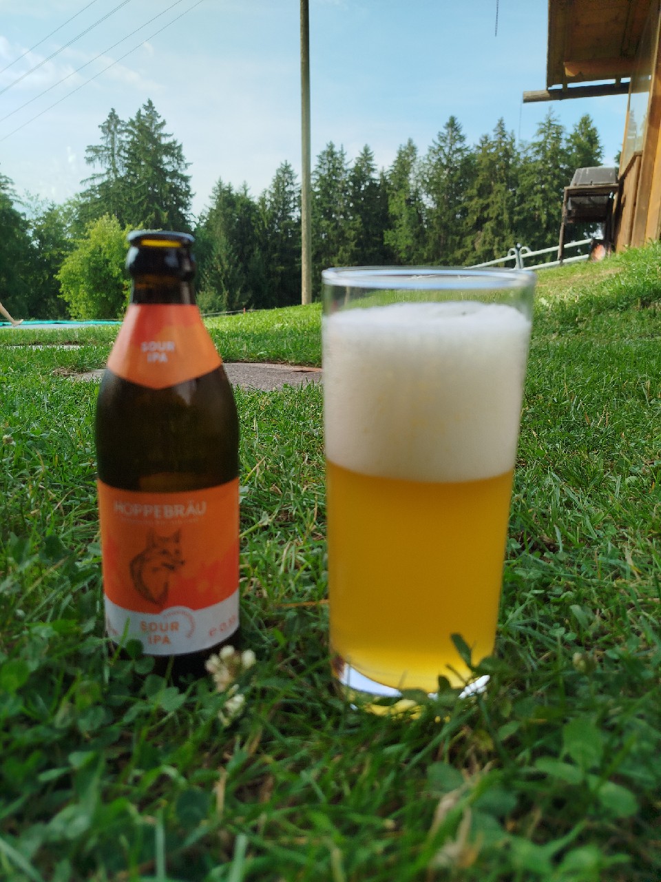 Fuchs Teufelswuid, Germany