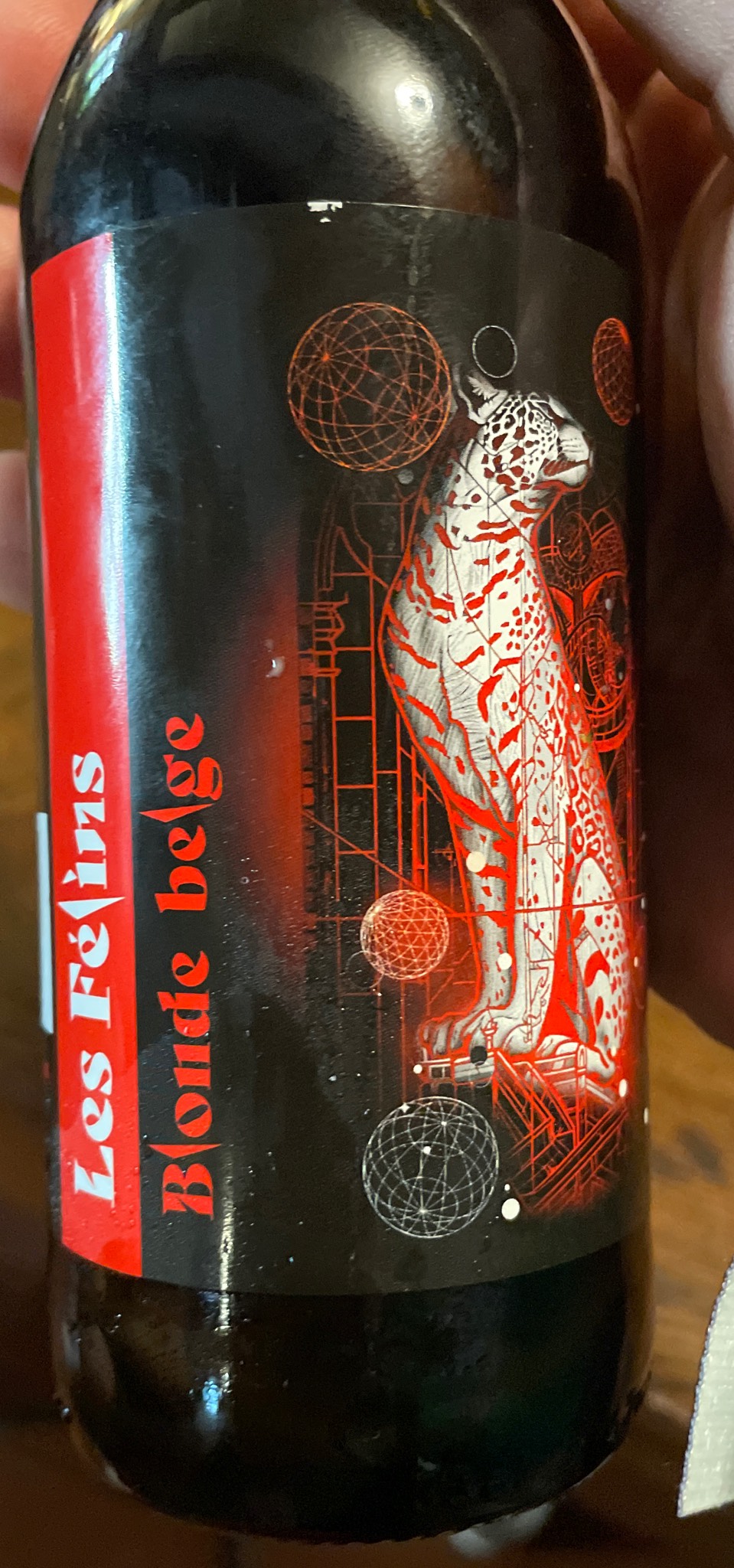 Les Félins Blonde Belge, France