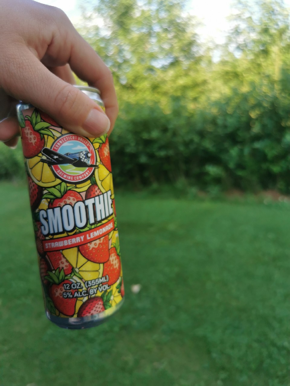 Smoothie Strawberry Lemonade, Connecticut Valley Brewing
