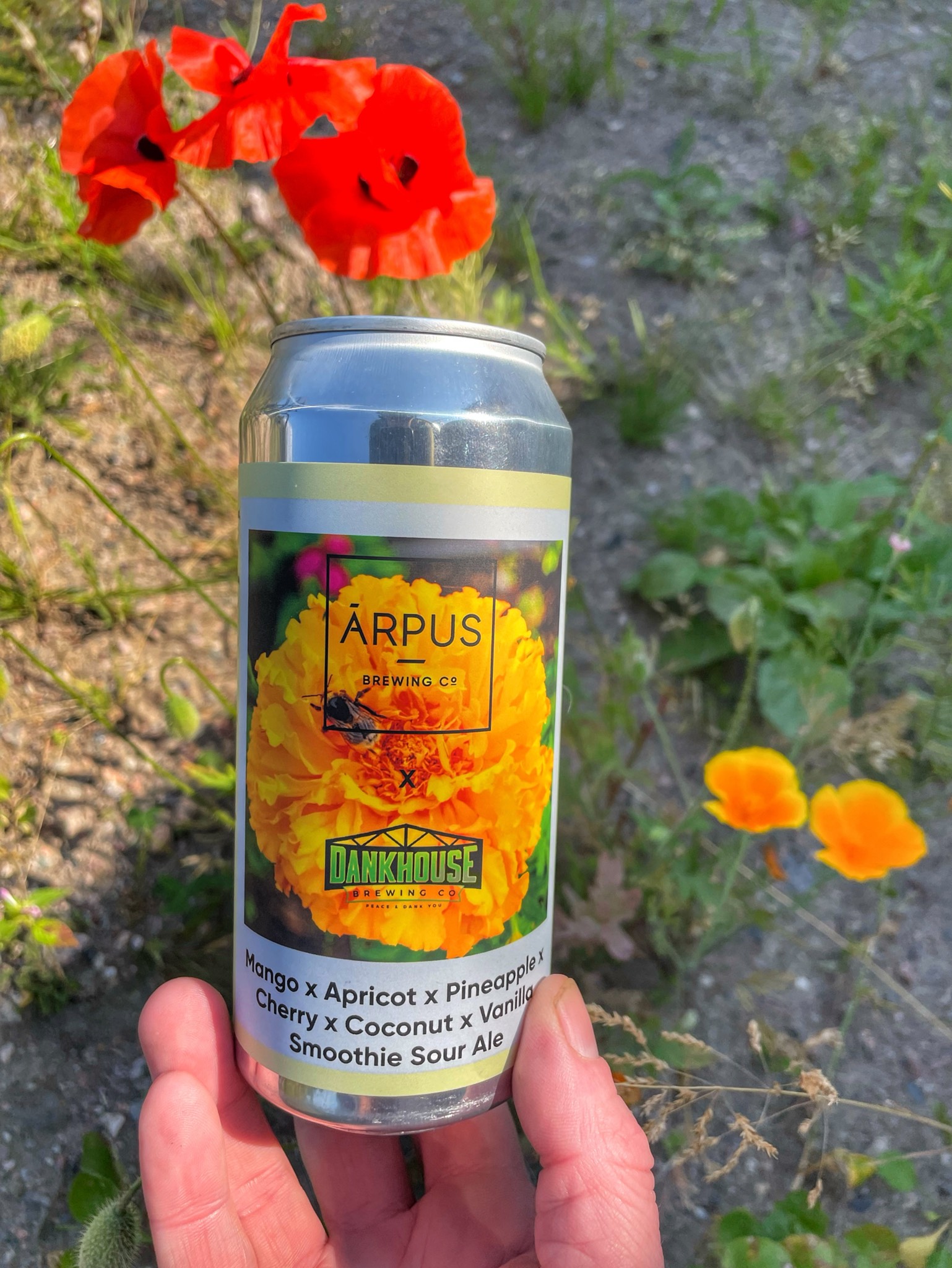 Mango x Apricot x Pineapple x Cherry x Coconut x Vanilla Smoothie Sour Ale, Latvia