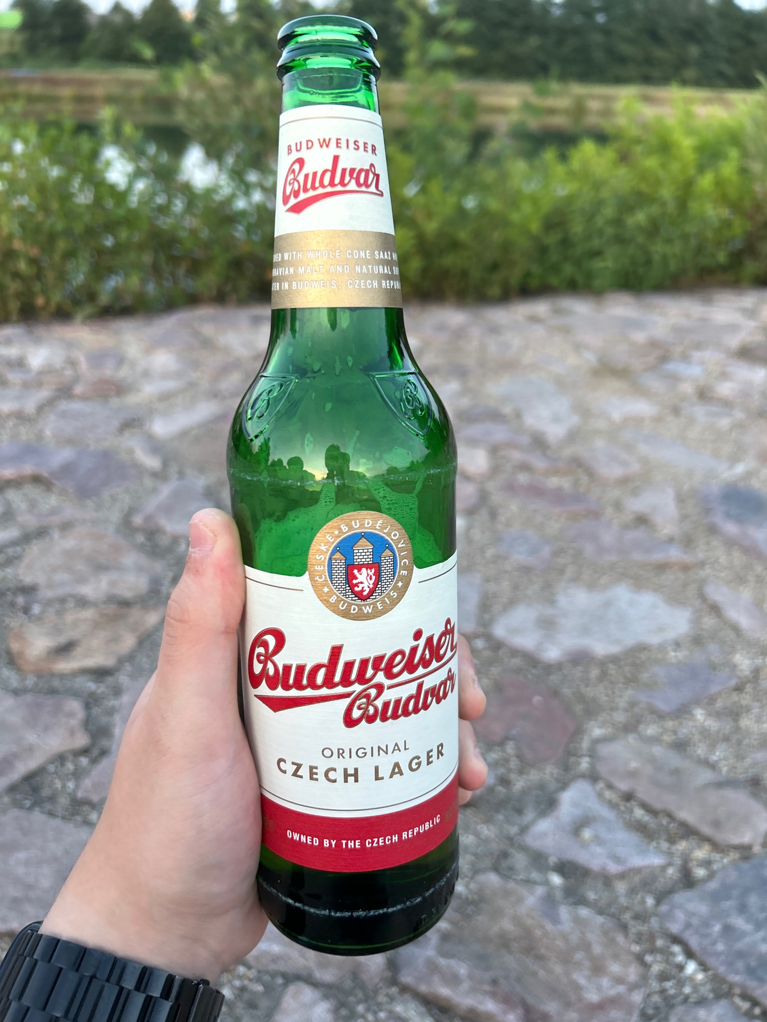 Budweiser Budvar / Czechvar B: Original, Budějovický Budvar