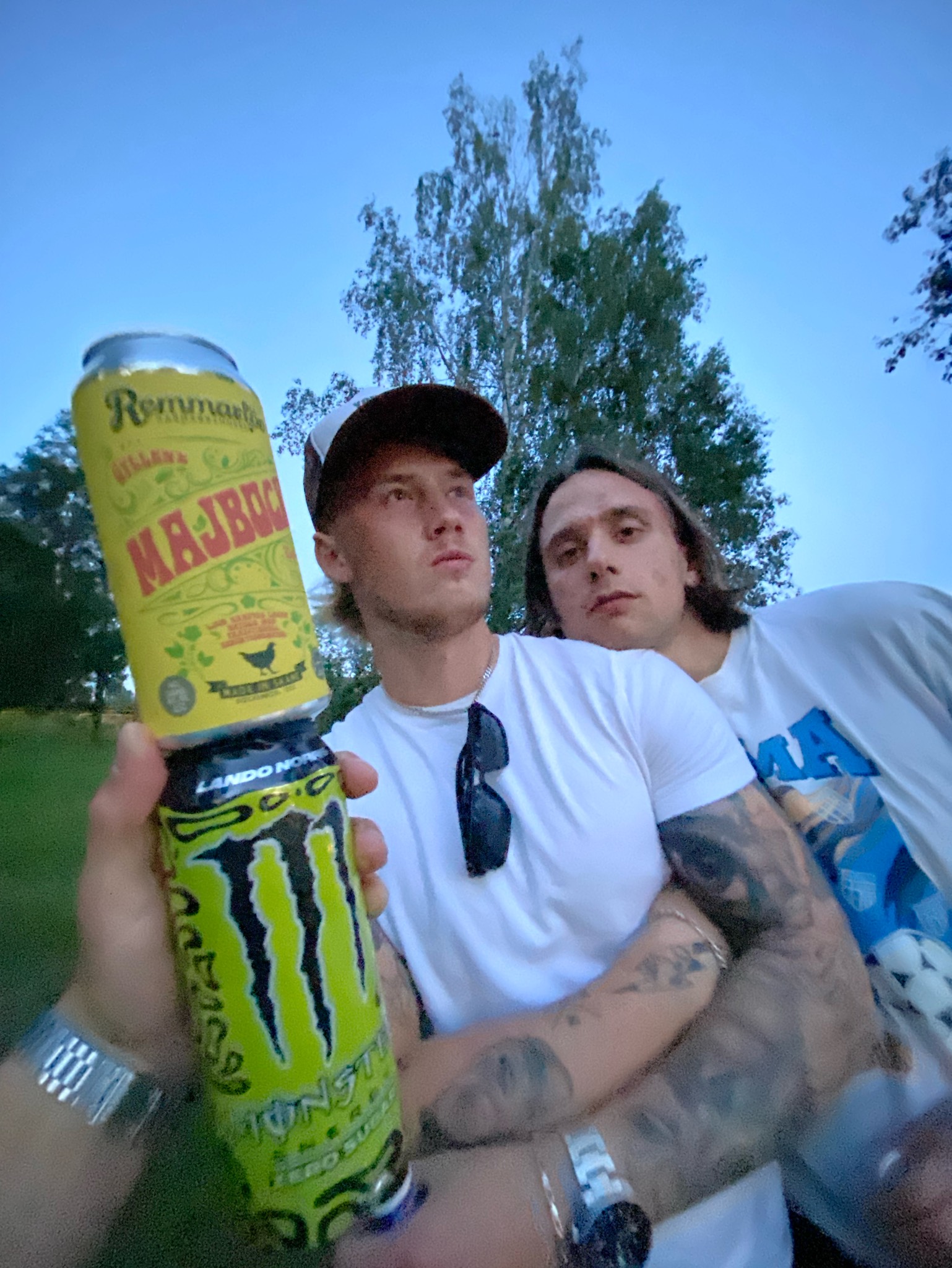 Gyllene majbock, Sweden