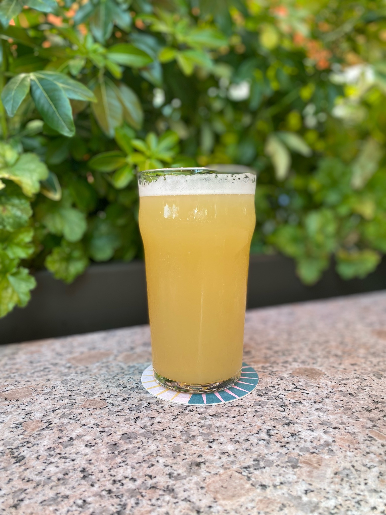 Craft IPA, Parallel 49 Brewing Company