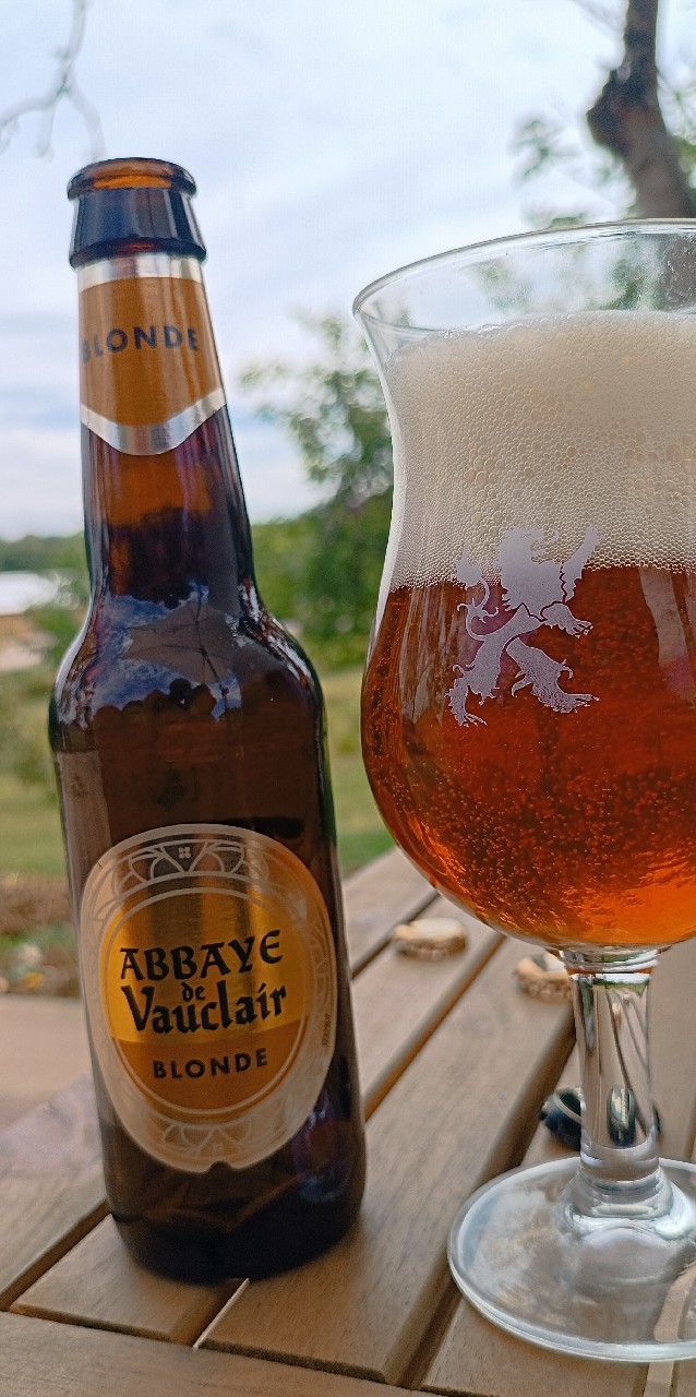 Abbaye De Vauclair Blonde, France