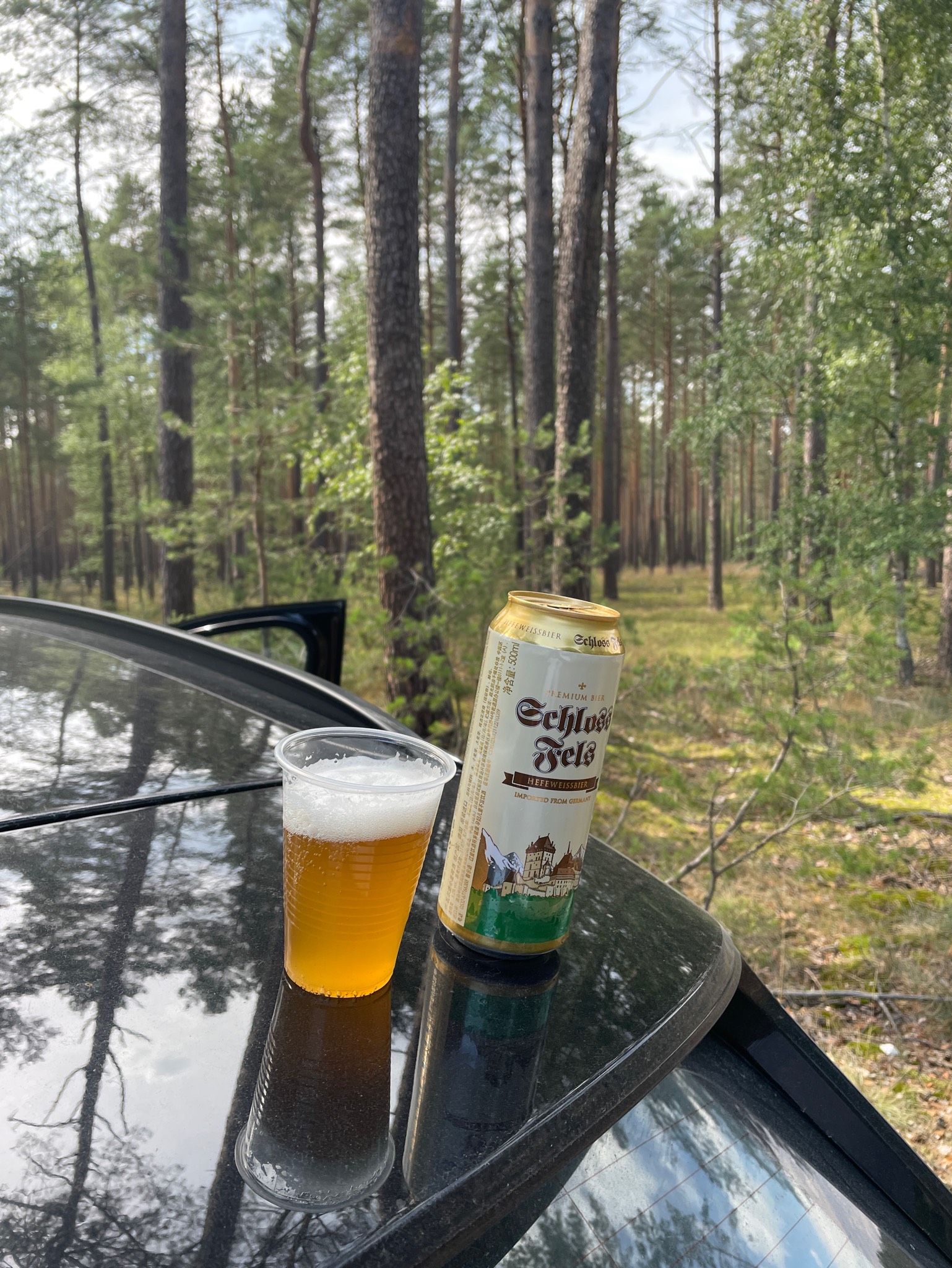 Schloss Fels Hefeweizen, Germany