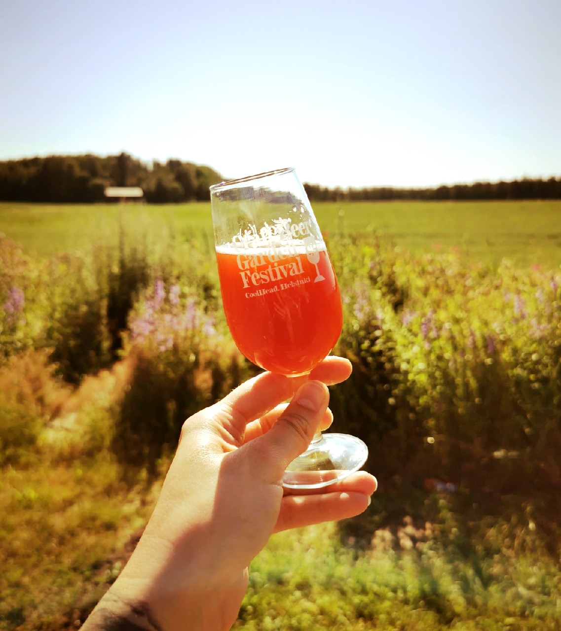Hydra | Passion Fruit + Sweet Cherry + Peach, Mortalis Brewing Co.