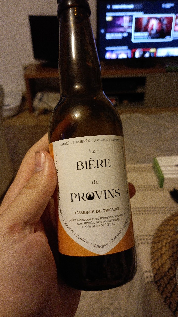 L'ambrée de Thibault, France