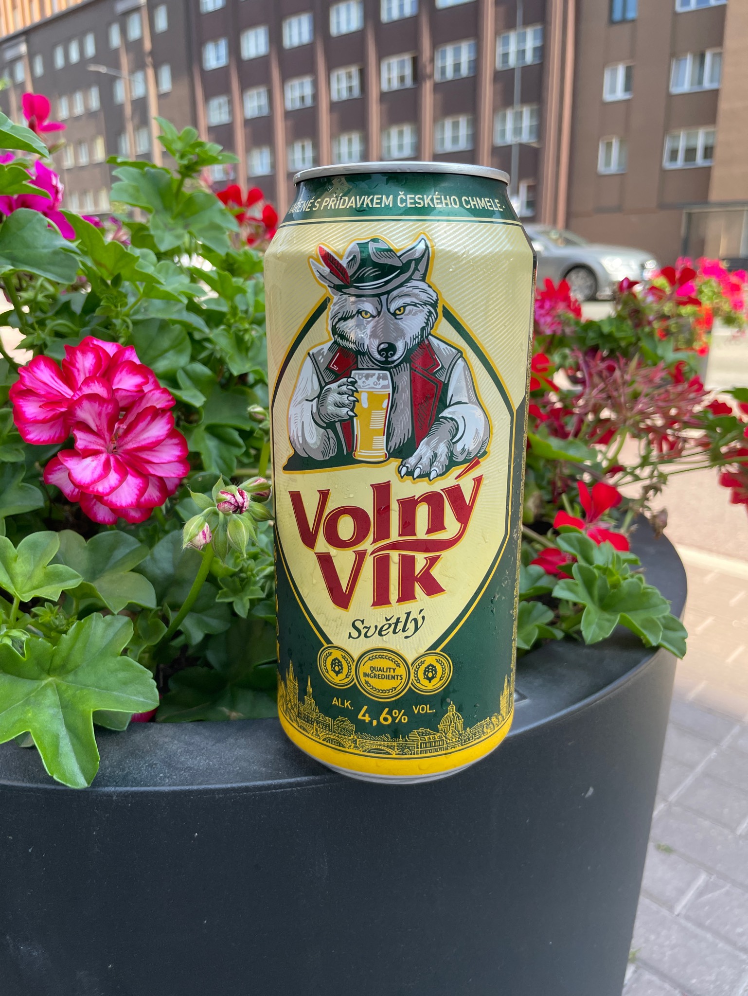 Volny Vilk Svetly, Russia