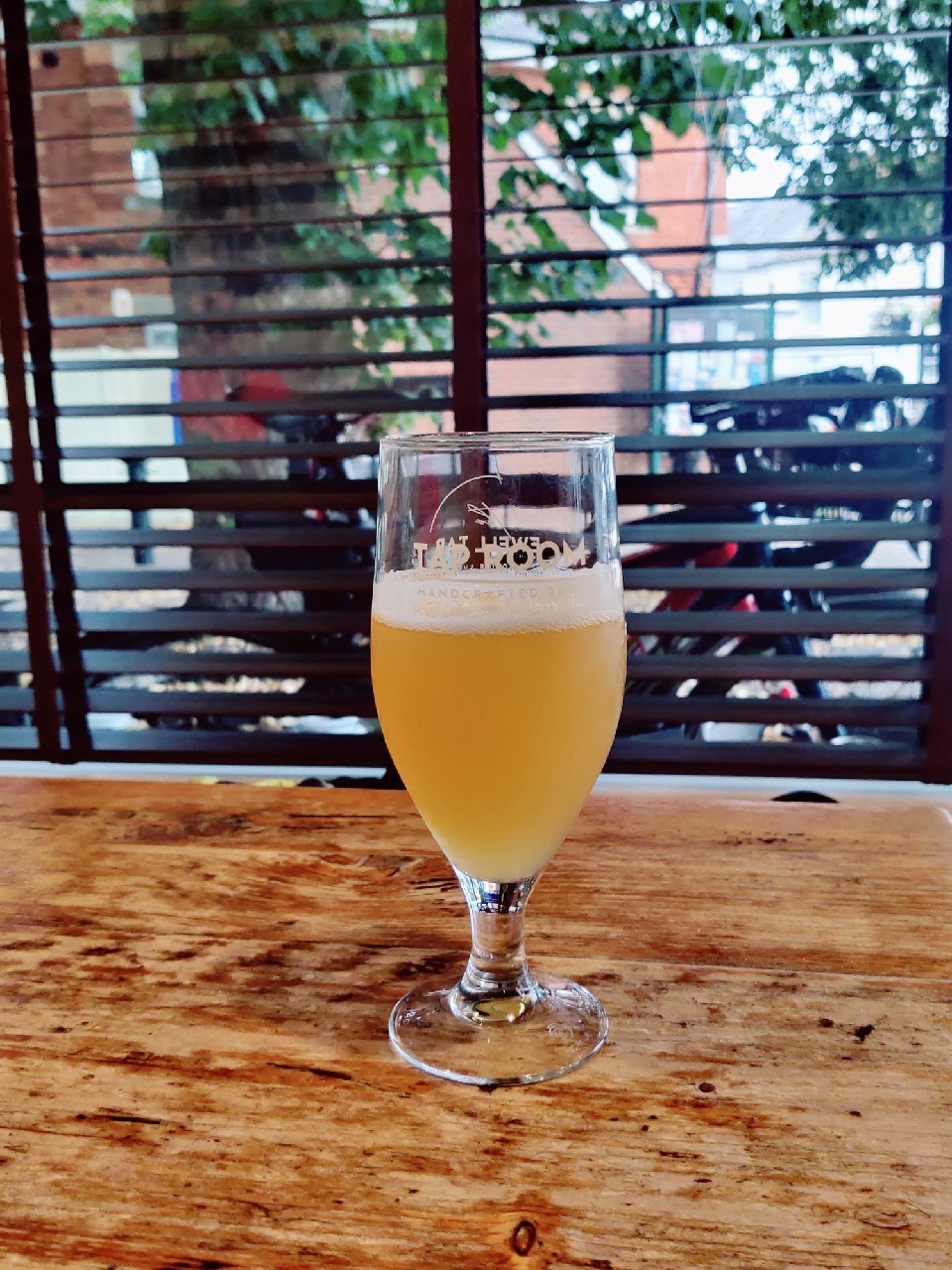 Baby Sharks, England