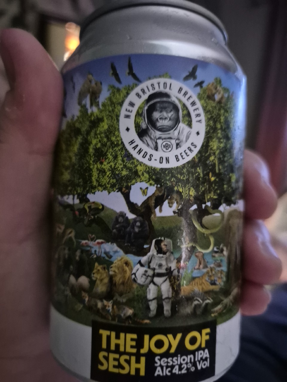 The Joy Of Sesh, New Bristol Brewery