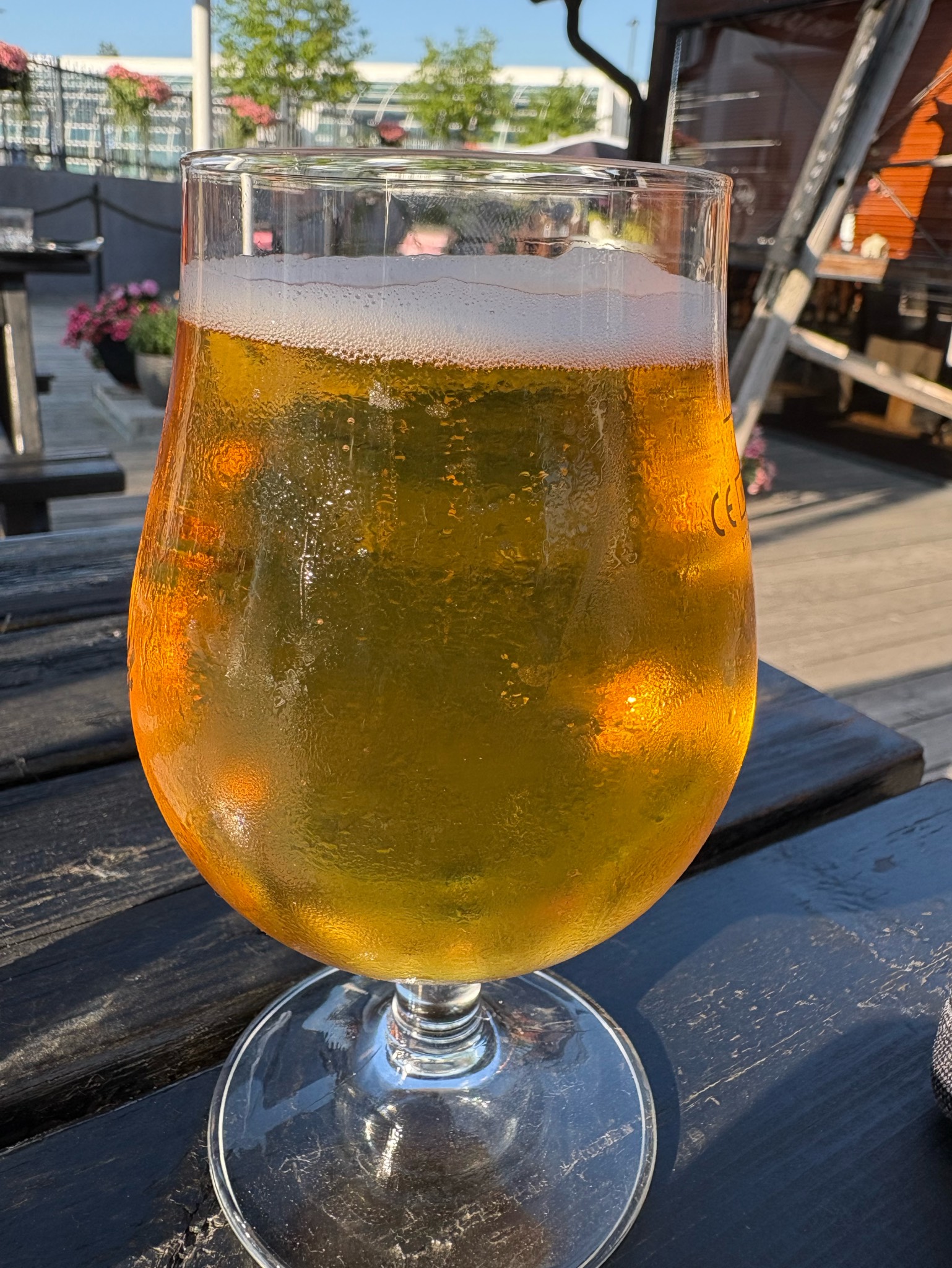 PalmTree TropicAle, Belgium