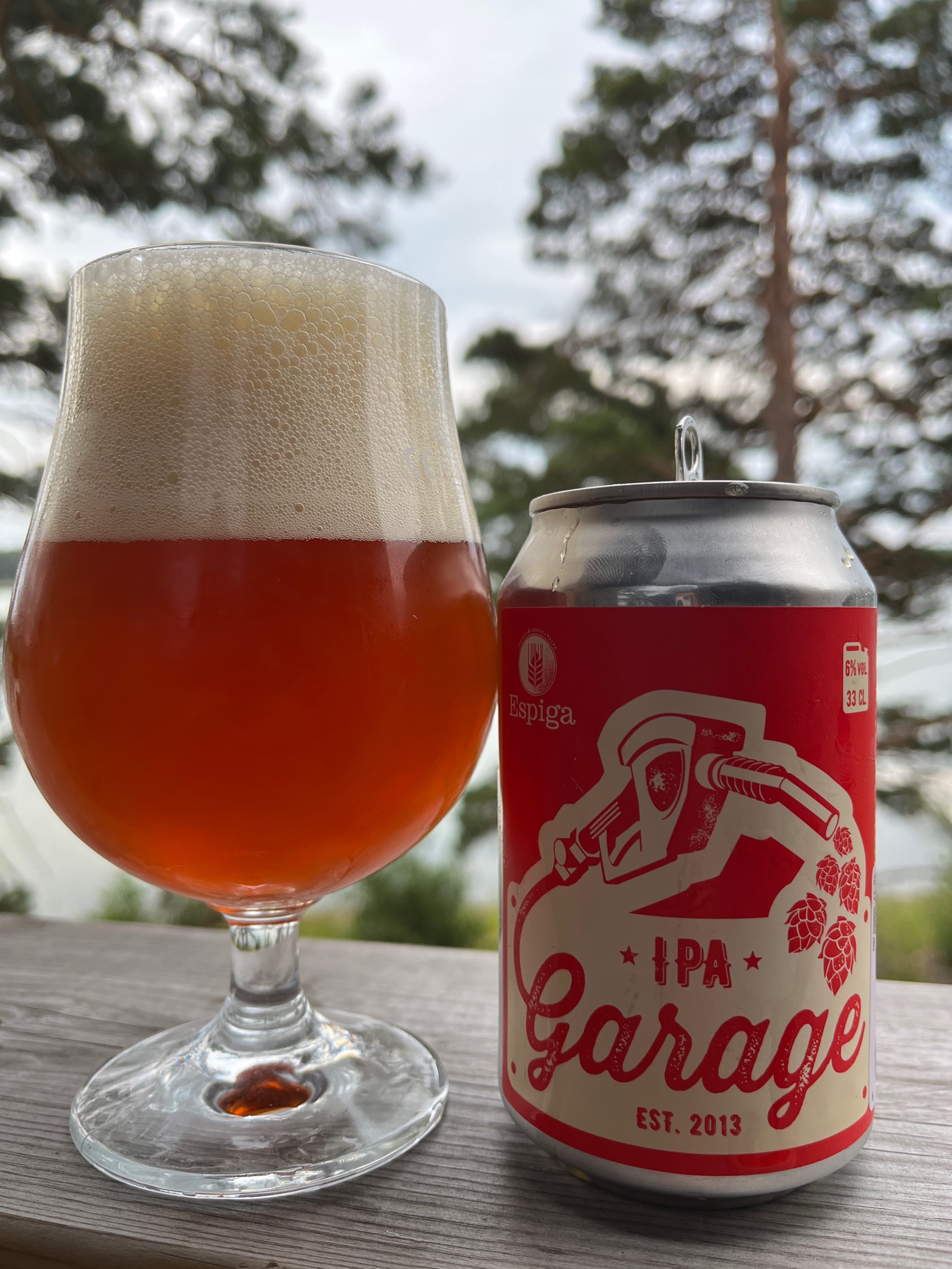 Garage IPA, Spain