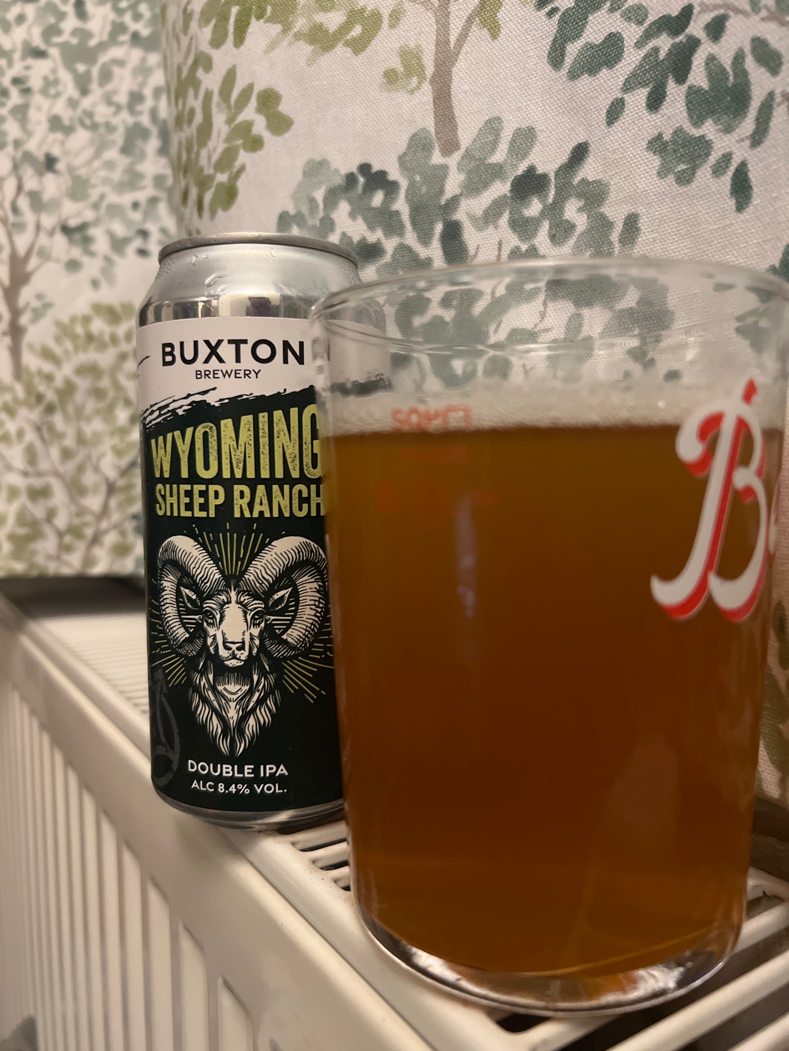 Wyoming Sheep Ranch (2020), England