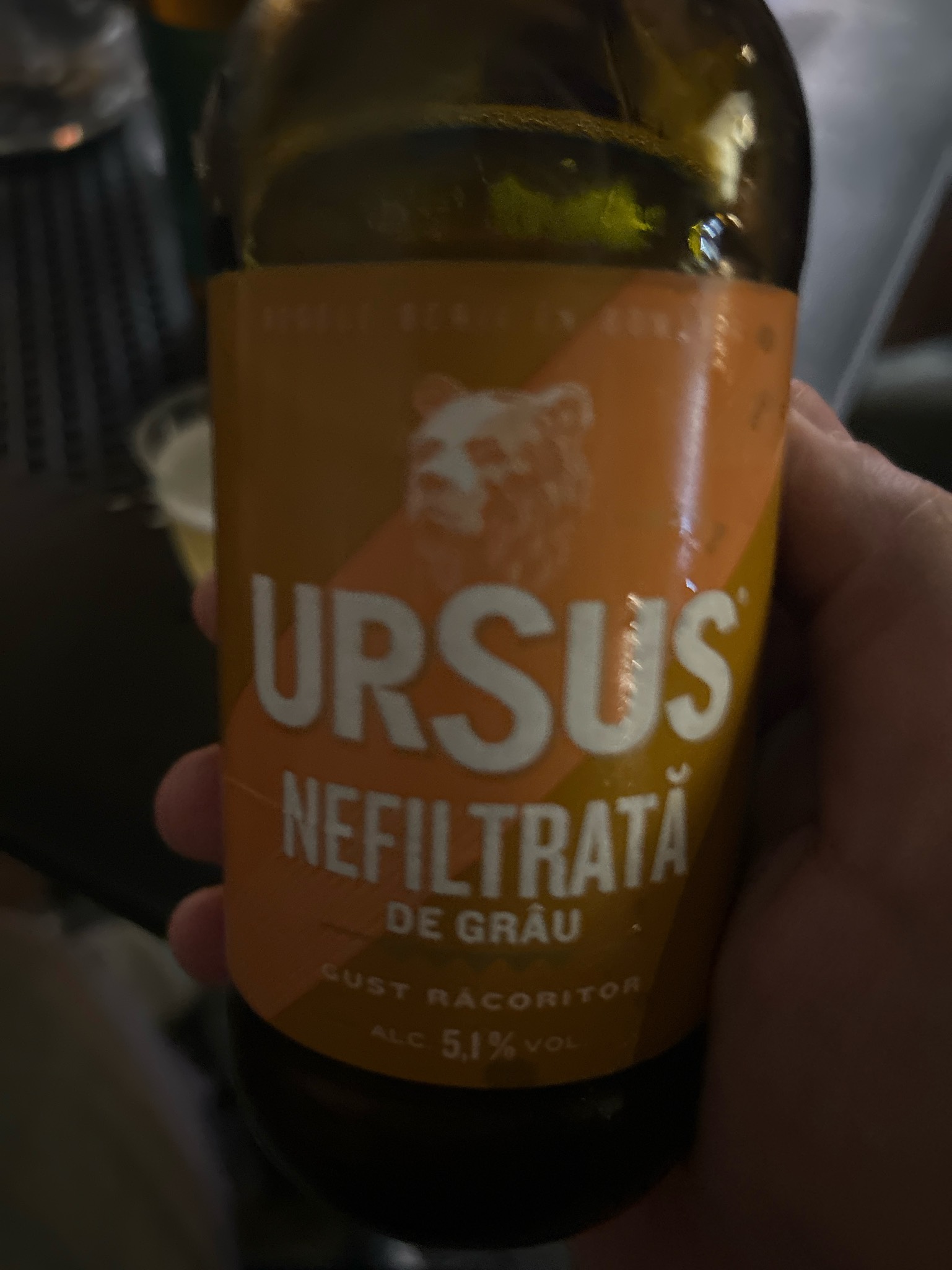Ursus Nefiltratā de Grâu, Romania