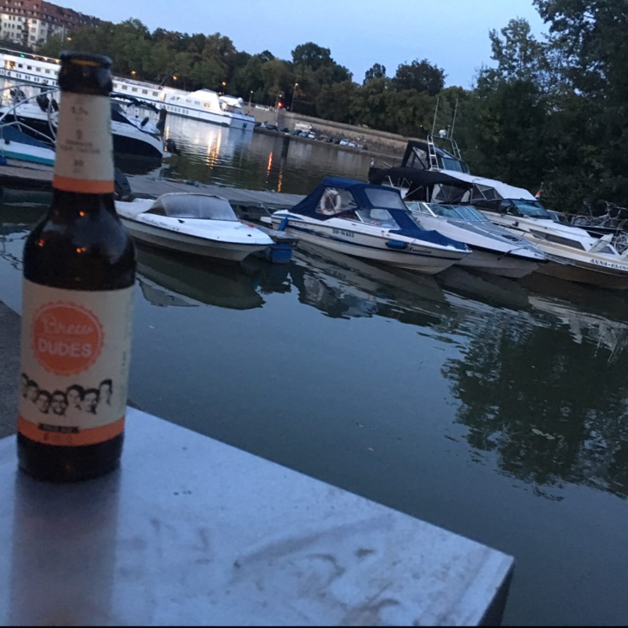 Brew Dudes Pale Ale, Brew Dudes