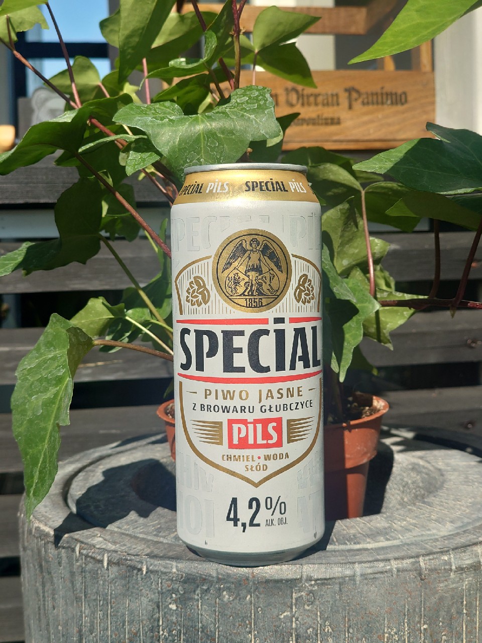 Special Pils, Zaklady Piwowarskie Głubczyce