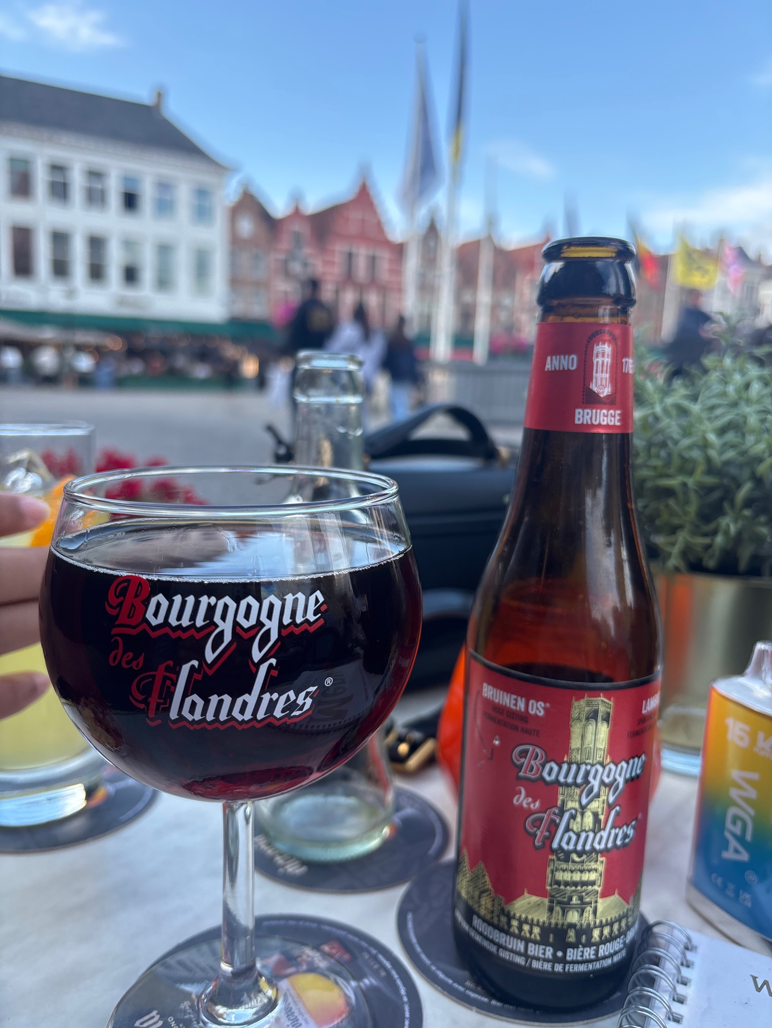 Bourgogne des Flandres Brune / Bruin, Belgium