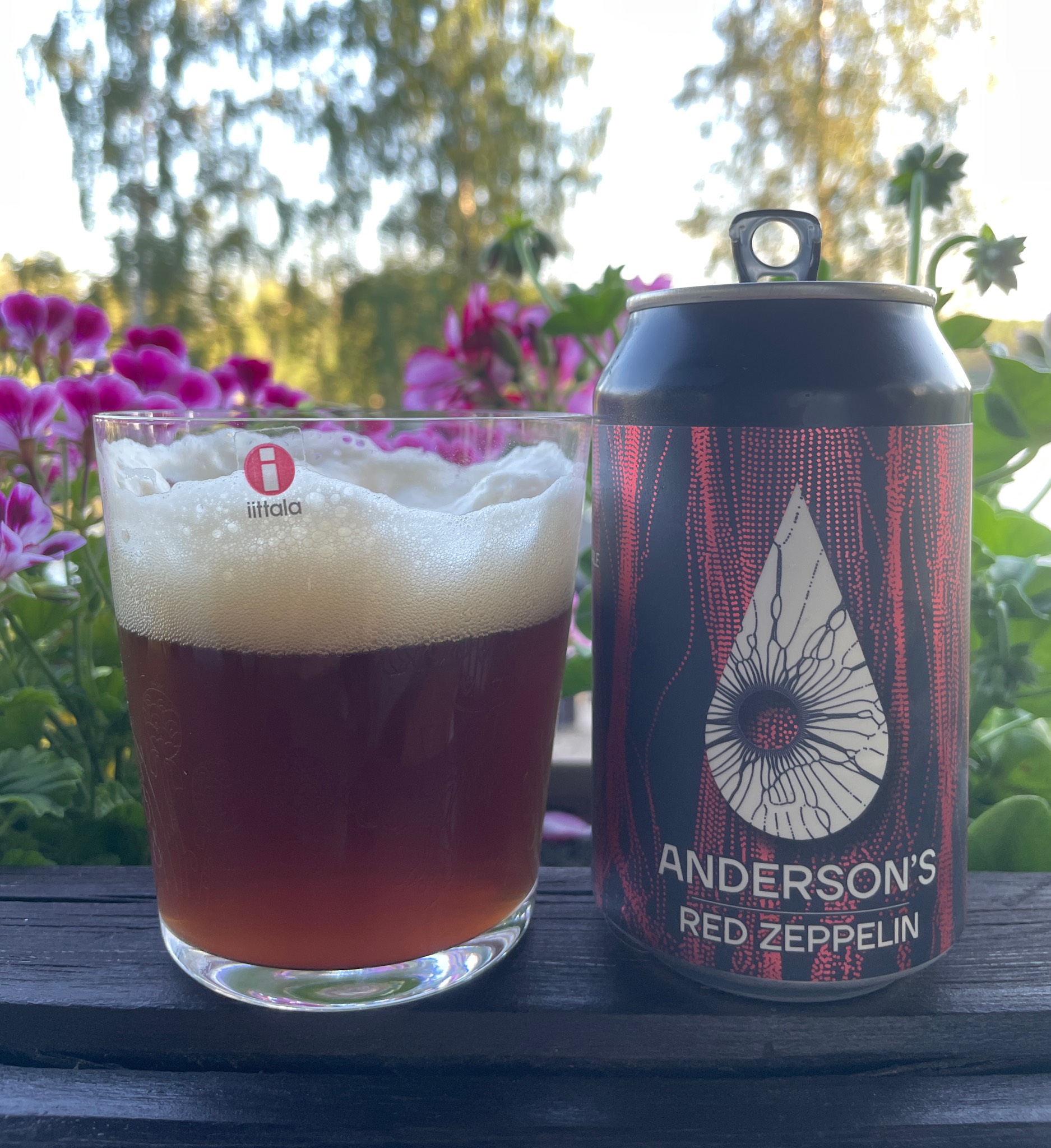 Red Zeppelin, Estonia