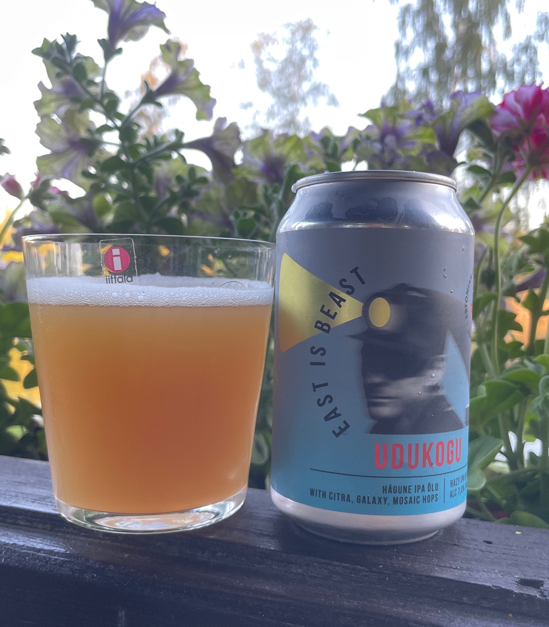 Udukogu, Purtse Pruulikoda